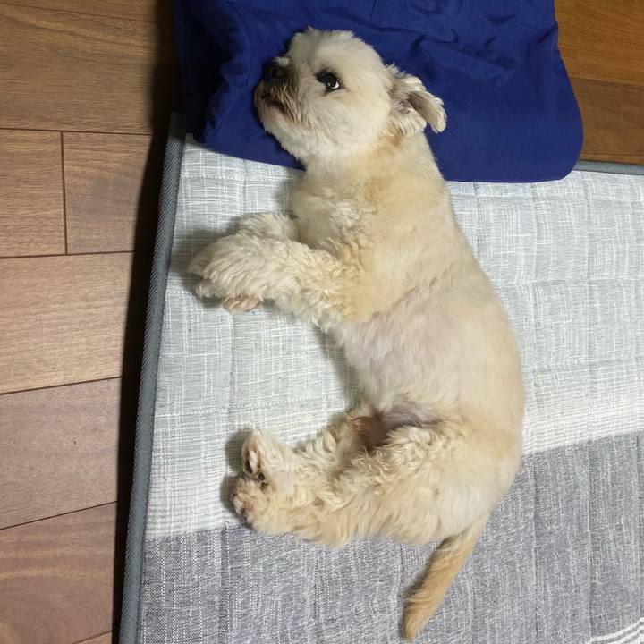 B550b02e abd5 4e39 ab3d c33f0acd5170 1719919208667