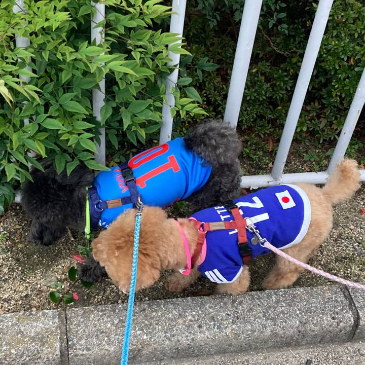 B550ca99 1e05 4b88 8564 a37714592c77 1670242020364