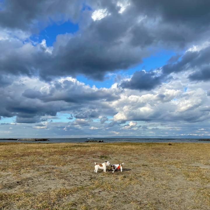 B550ebd0 2b8e 4091 aa39 dd2251f06f5a 1667087621097