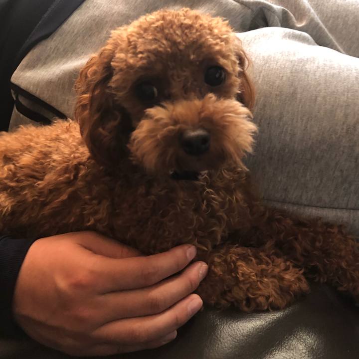 B550f626 fdd2 40d7 b587 43a9057a2ae5 1512558327113