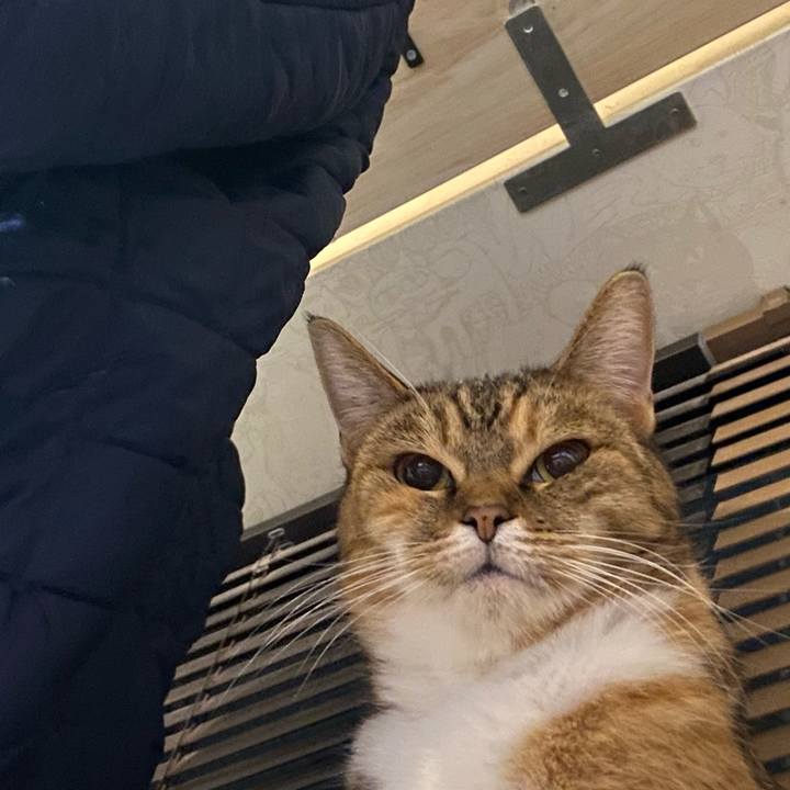 B5510f51 df5d 4495 b625 5377ee08306a 1638975236063