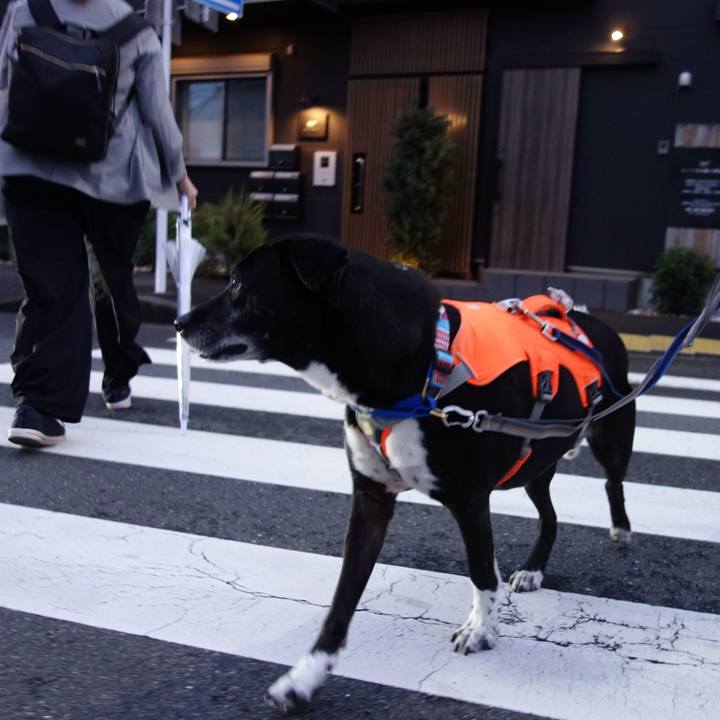 B5513f31 5abf 4782 96fa 4256f0669c49 1748603261549