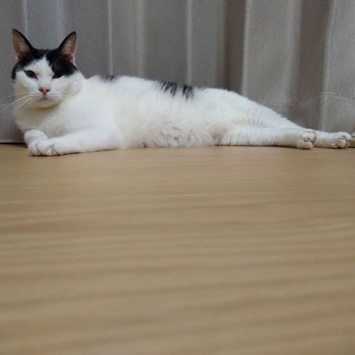 B5514122 f7b2 4295 958c 6ba4dfb3502d 1565349615073