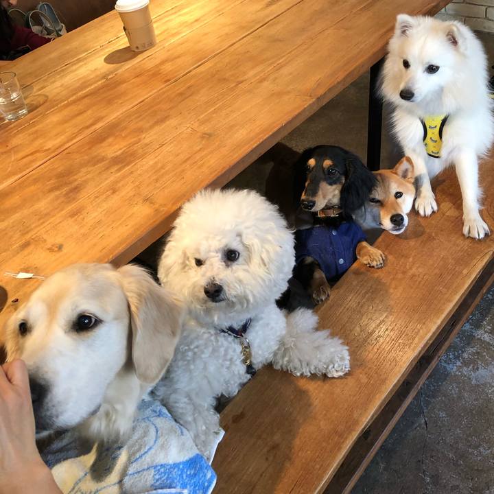 B55149a7 3123 423c 9471 e9d069880101 1547632567377