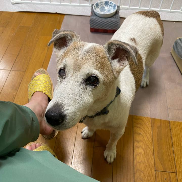 B55166fe d84e 457a 87e6 a7ba597554da 1694643163593