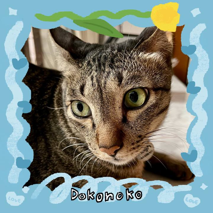 B5517ba1 32a5 4bf3 9644 fccfc3a7a156 1772201141408