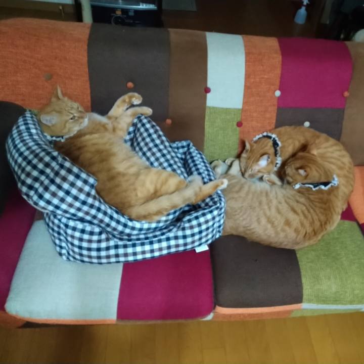 B55198b8 320b 45df 9813 b73dad3cdc0a 1600696581594