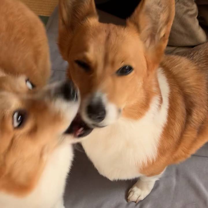 B5519db0 6796 4ced ba0d 6f5d245b7cfc 1613185624275