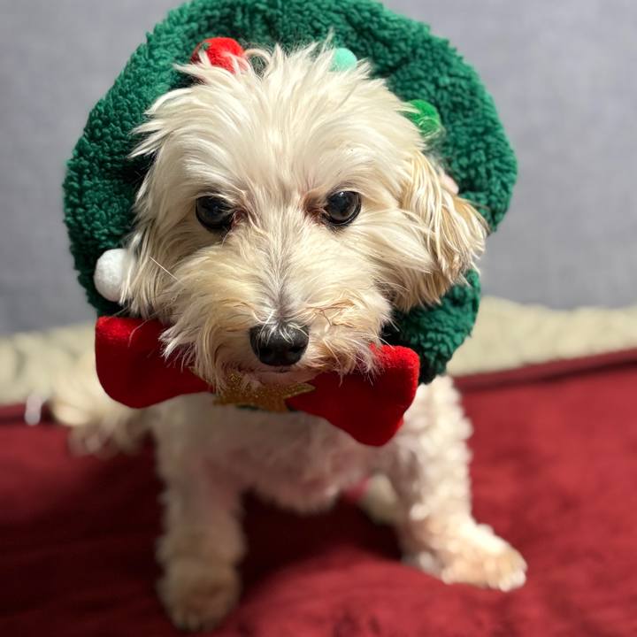 B551a7f1 9f74 4ff7 9747 3927f999b424 1762952882286