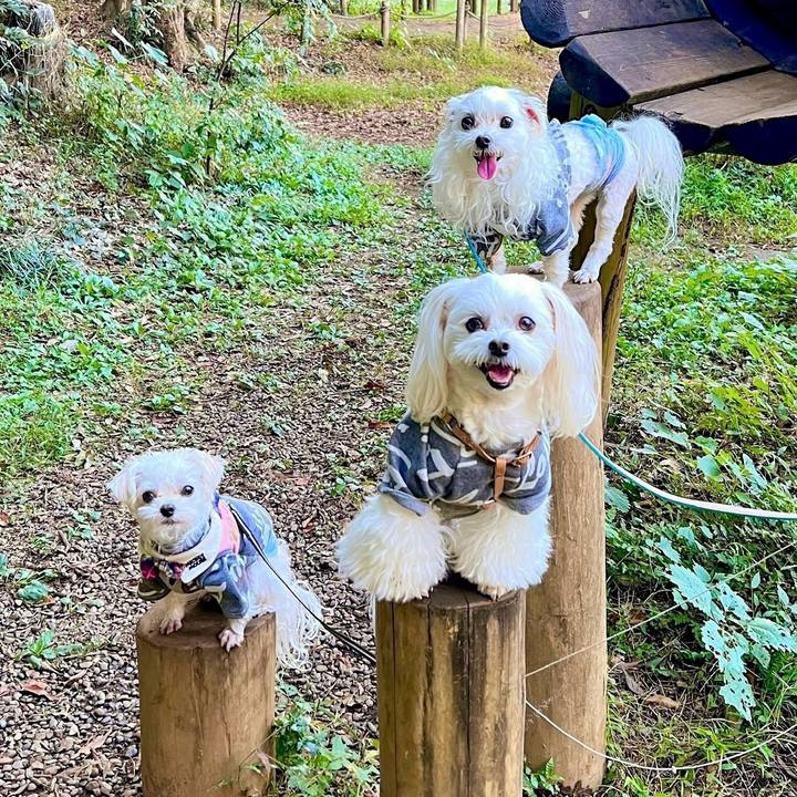 B551c393 f60b 4cdb 990a 63ab5e1f7973 1701343687303