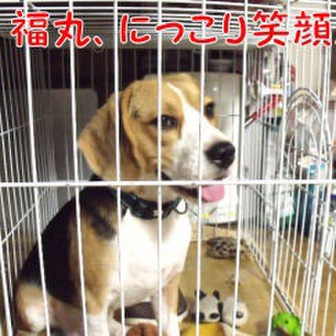 B551e800 6ba4 4e48 a9b7 3d563dac2aa6 1698191692600