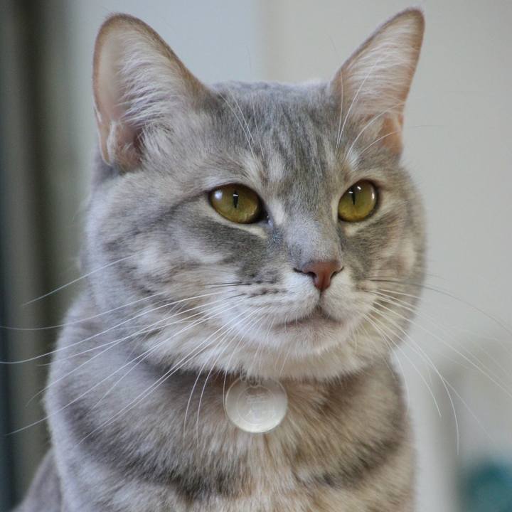 B5521311 8106 465d 883a e130655b5779 1518569274043