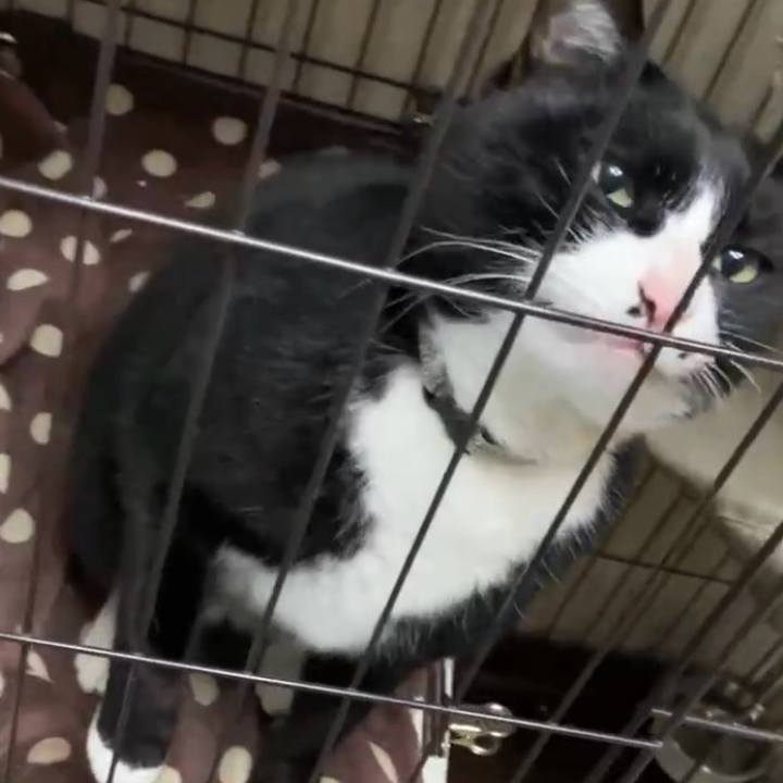 B5523a80 1577 4692 bb32 52568a513df6 1741485301759