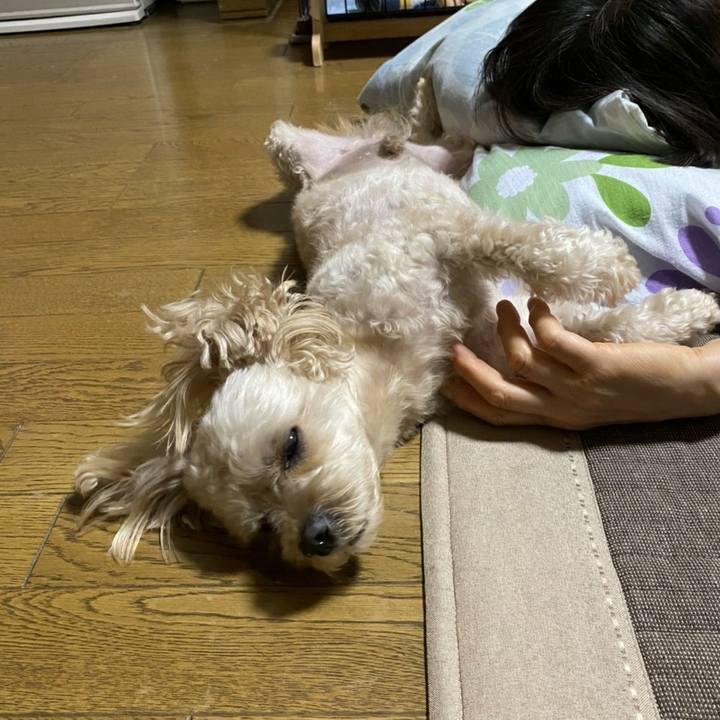 B5525e69 f59e 4304 81bb 95b8931f3aab 1596954828699