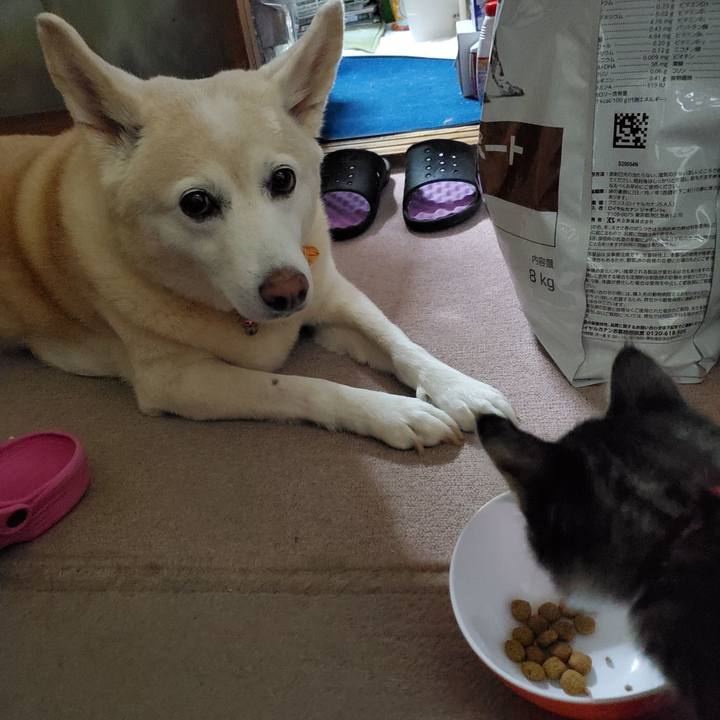 B5526bb3 d2a8 4cdf 96fc 28a89a1705d9 1628391519541