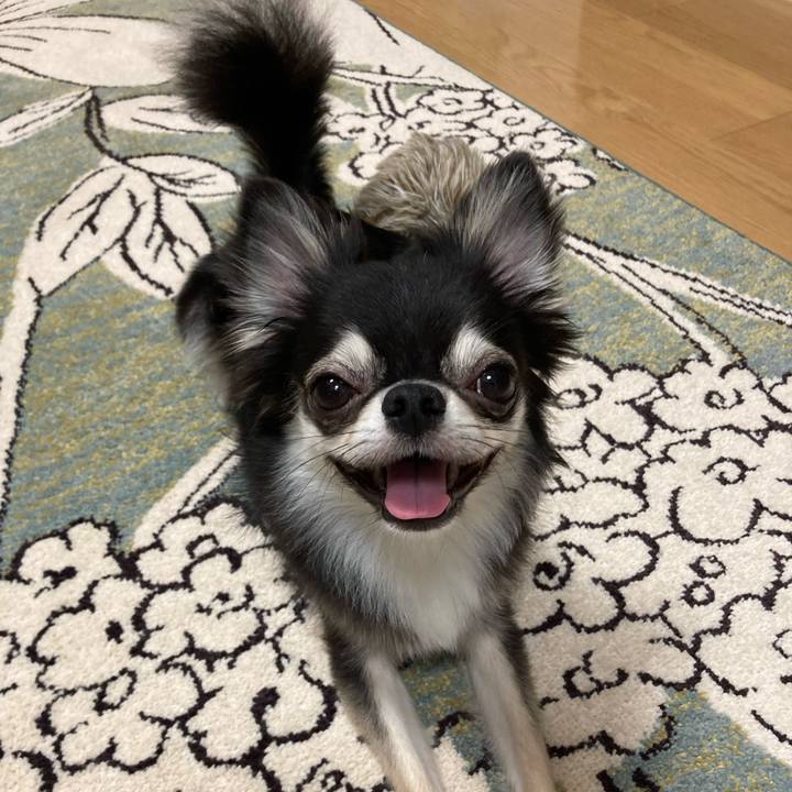 B5527810 6986 4fb7 9482 a1f8366b9adc 1629639809899