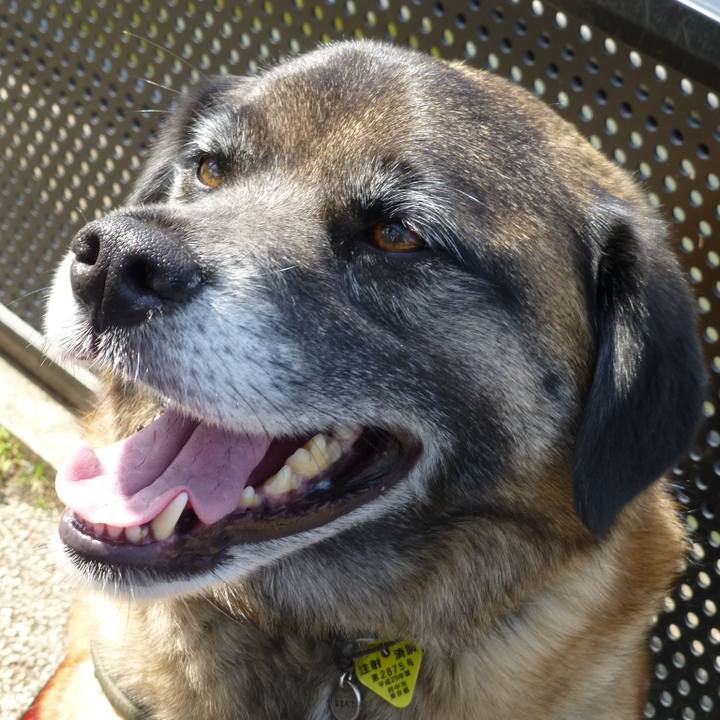 B552de6e 3136 426f b007 35073aea40c6 1578788234592