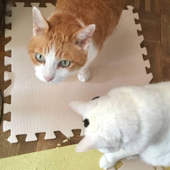 B552e4aa a551 4dbc af58 56a10625def3 1585206637065