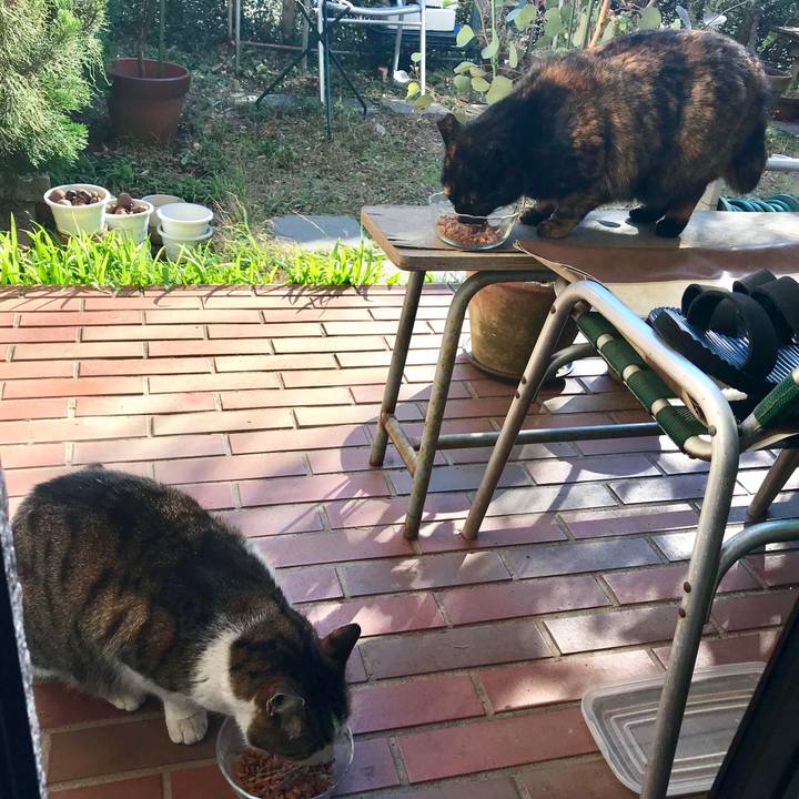 B552ee53 a498 40dc 9f43 36b746ae1f34 1515818489637