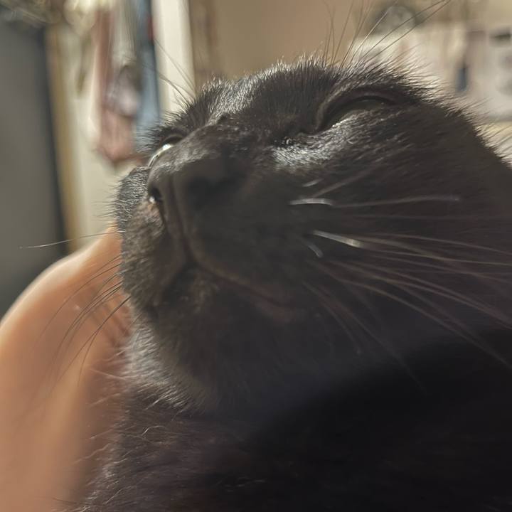 B552f966 efd1 4019 90f3 1b15e2beb7d4 1695219491595