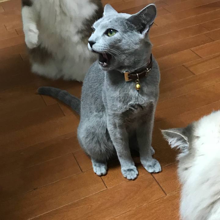 B55311ef 363d 43a1 bbd2 70c9dac74de2 1515416703278