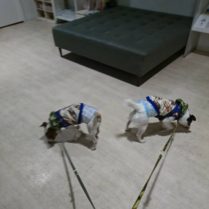 B5531448 434d 4a64 9e60 c888e2b4c116 1589372951467