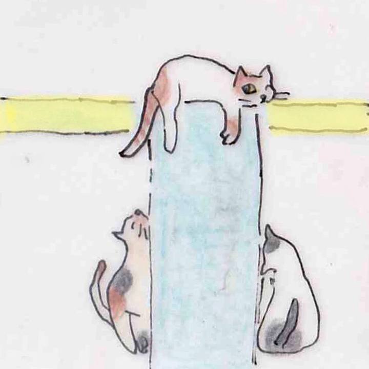 B55316d5 39f6 4afd aff5 e2067aa42a25 1648893033496