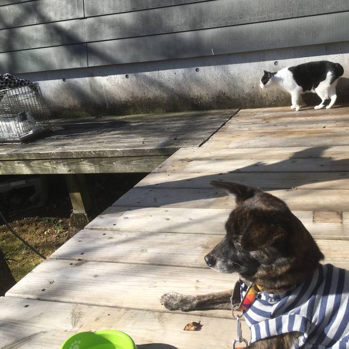 B5533f44 52bc 4dc5 9050 07483439e0b7 1545738412562