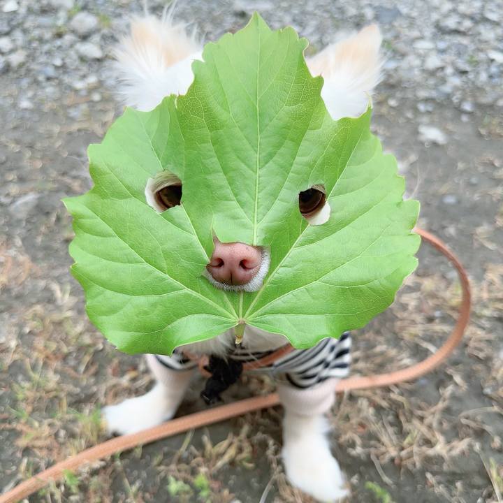 B5535d8d d81e 4109 a5db 386d873344dc 1713854278902