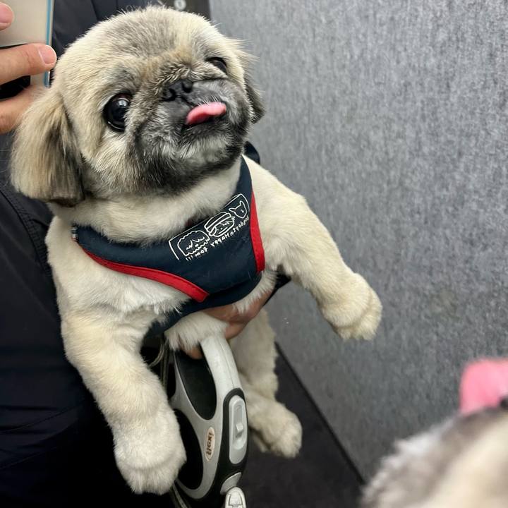 B55378c0 e41f 4c68 942a 676c717b48fe 1763680878322