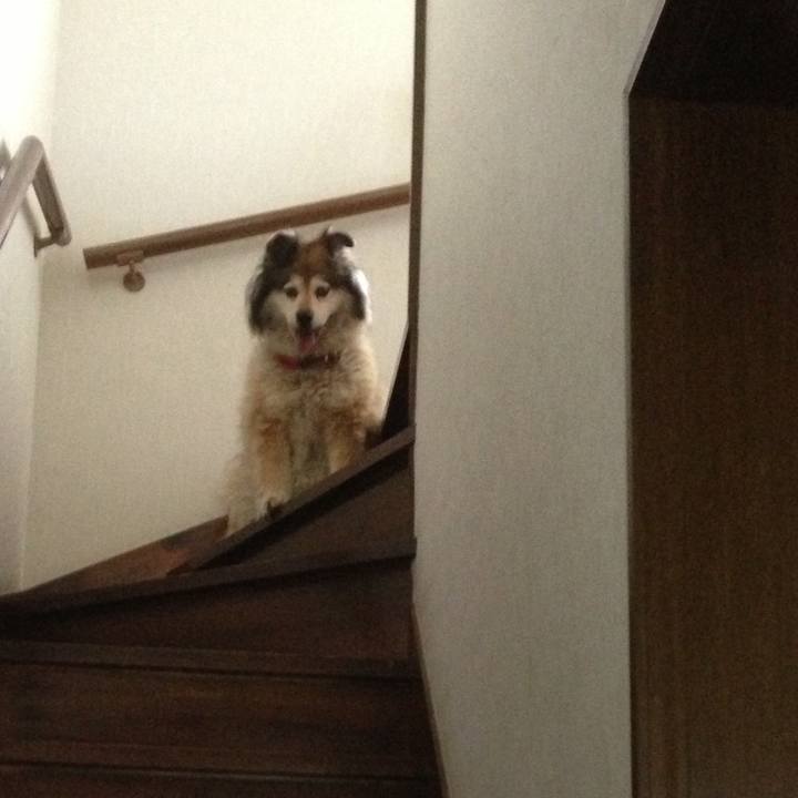 B55387a9 a4ec 4349 9c36 d62896d27e6b 1599554838653