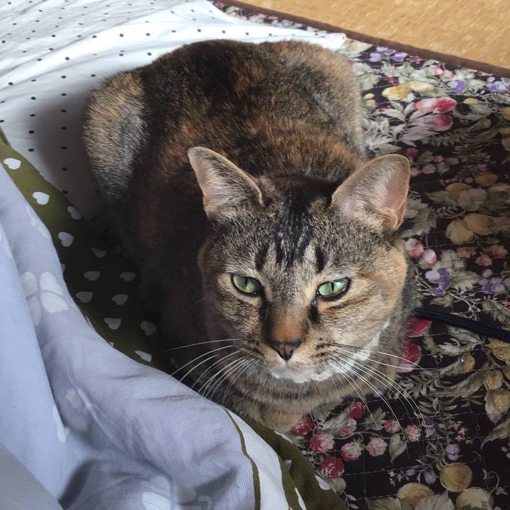 B5538849 9446 4cbb b972 9d878b6b192d 1649113676264