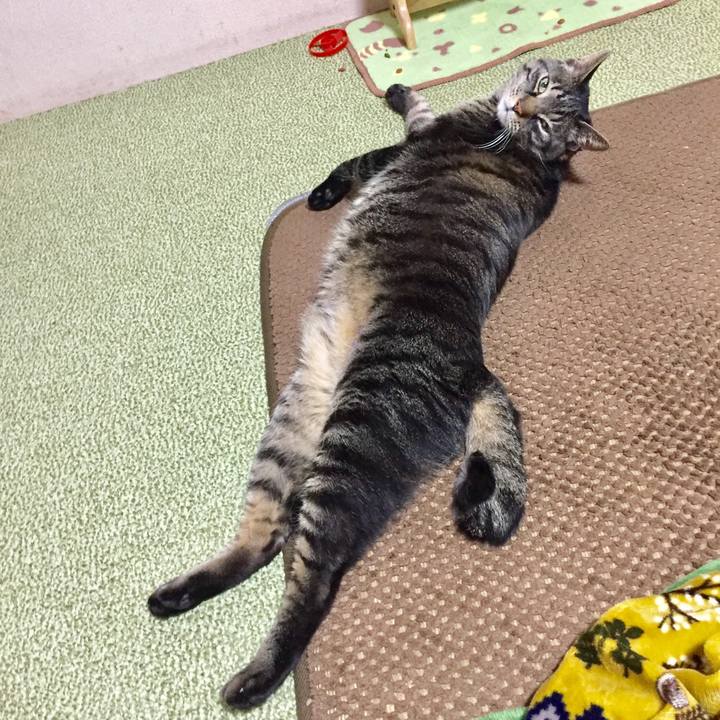 B5538909 57c3 43a8 b7df 35f18ac0c46e 1585741768246