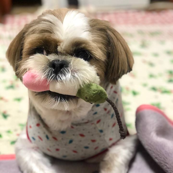 B5538ed2 18d1 41b2 9f95 6d6c103dadf9 1538978387839