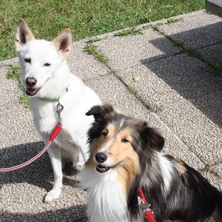 B553a003 4a7a 452a b952 6e349bba4f3f 1510056592233