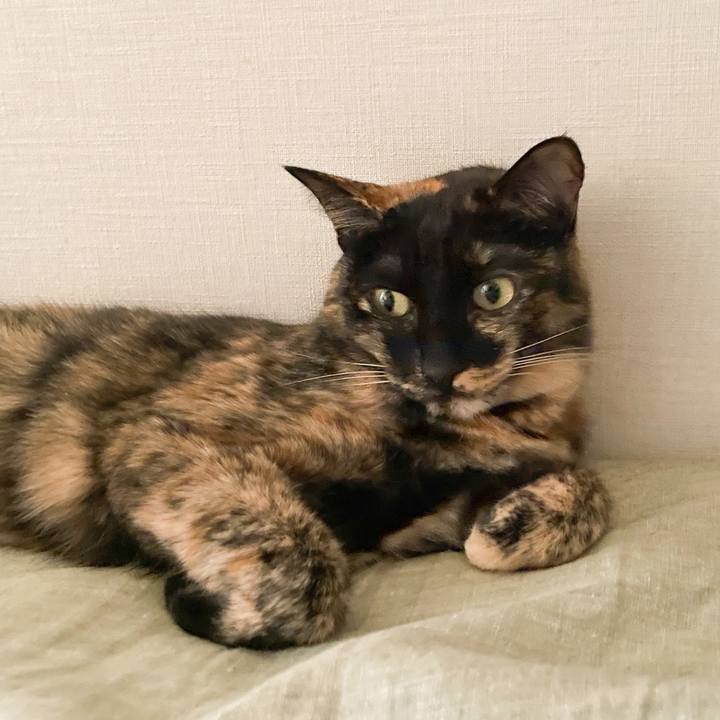 B5540731 0534 4b10 8eda 23aacb15ea0c 1663329682254