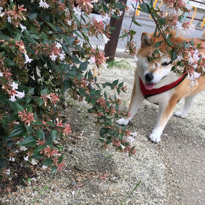 B55429e0 a175 4a1a a0f2 c1c053f8cfaf 1595311862382