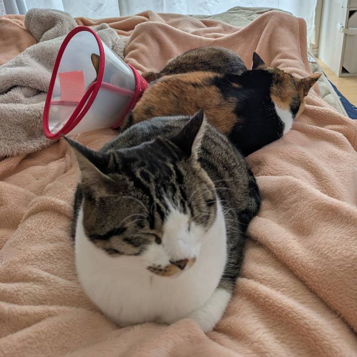 B5543eab 705b 4f4a bd8e bae4fc662789 1767436834271