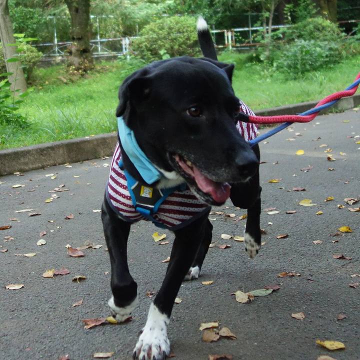 B5548150 44f3 4823 aff2 e69ebbf7470a 1629505569132