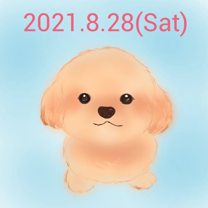 B5548996 e6be 47d5 86ca 48d0d1b88469 1630154971358