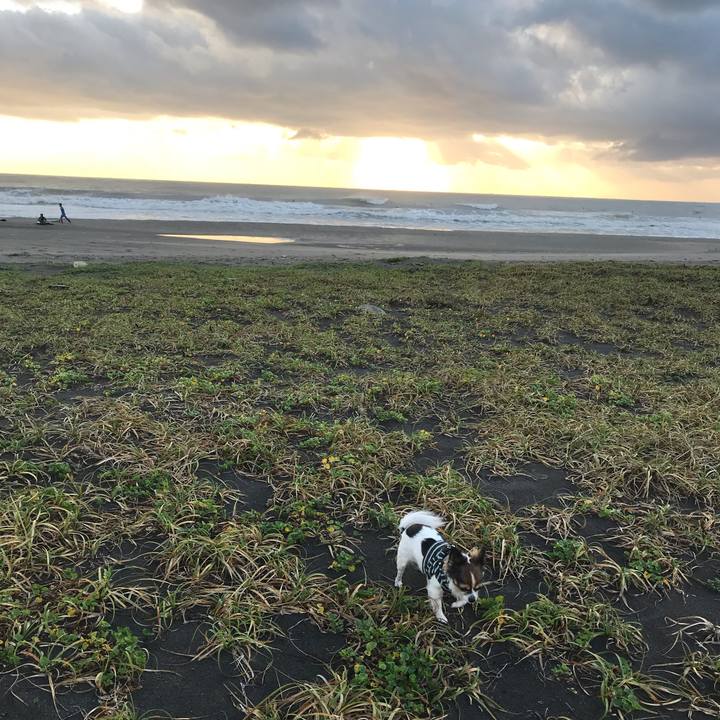 B5548b68 50cc 47bc 82fa 557dbad29d21 1542029507174