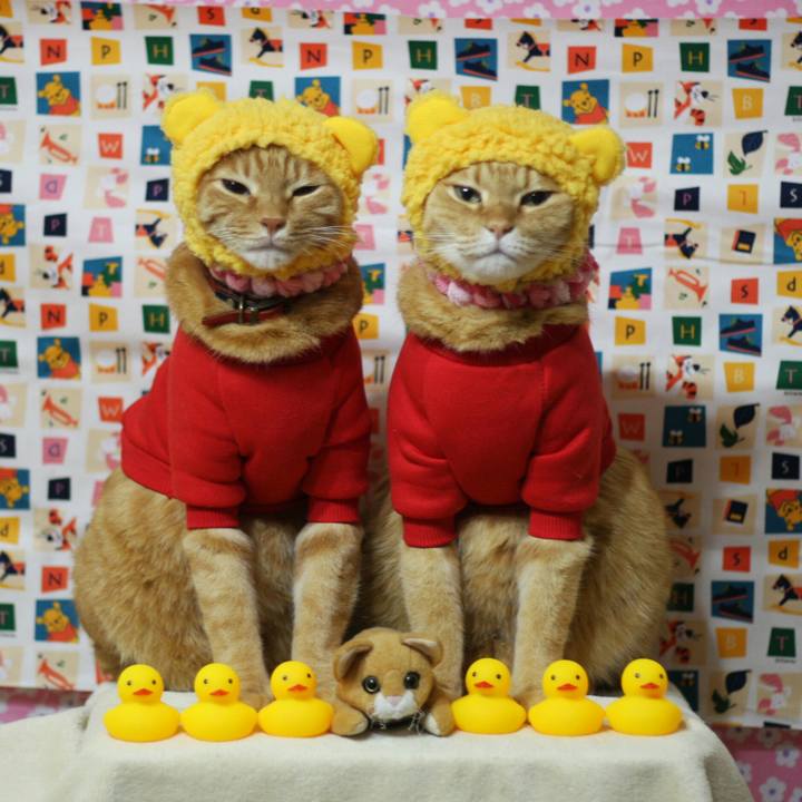 B5549d1b 7d56 4578 96d1 4c458a4ef606 1516802434854