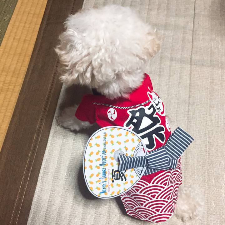 B554b42b c6e4 4678 912d 862277f41819 1533294168937