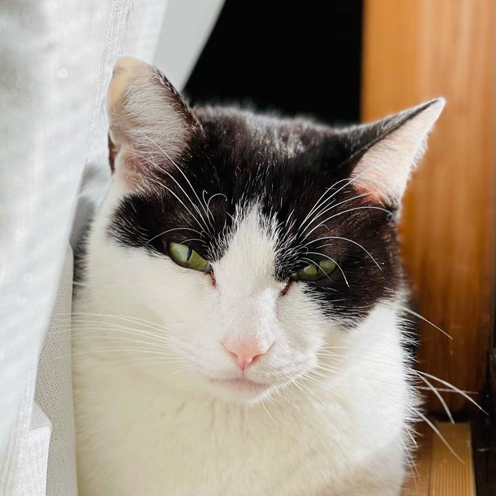 B554c095 faaf 4858 9b2e 6412cf32b9e3 1615857221632