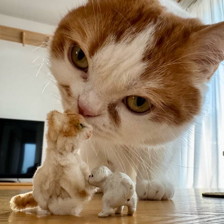 B554e23e e4eb 4007 9dbc 867e2ad19797 1775721117153