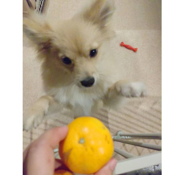 B554f8af 5f99 47ba b2c9 8ea2a586af73 1732591583668