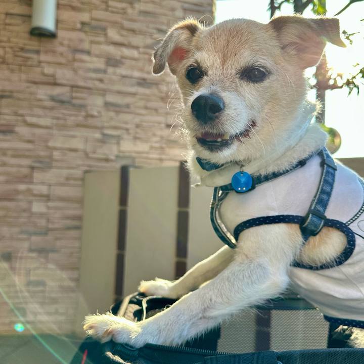 B5551c60 5605 4476 98d2 166a69ff692d 1753311605756