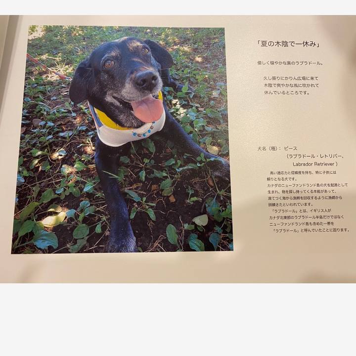 B5553875 25cc 4a20 a361 1537844f00c9 1639703297916