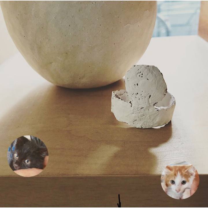 B555833e 3212 4e57 8ca2 59020634e049 1540342587671