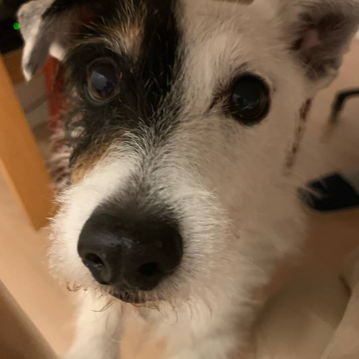 B555b61c 8520 4dfe a3f8 0cdba87bbbf1 1718971225714